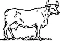 Pilih haiwan yang boleh terbang