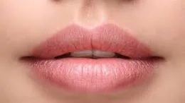 Apakah bahagian tubuh yang terlibat dengan deria pendengaran ?